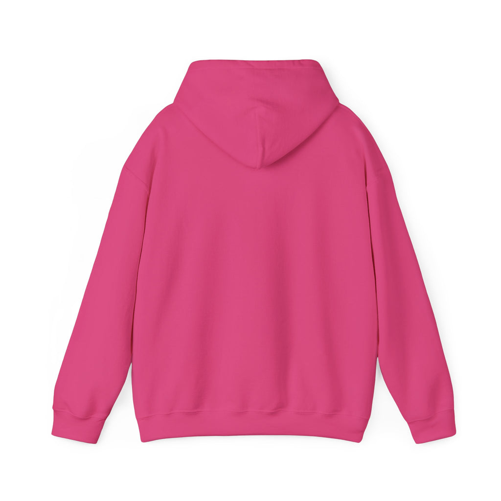 The RCC Hoodie