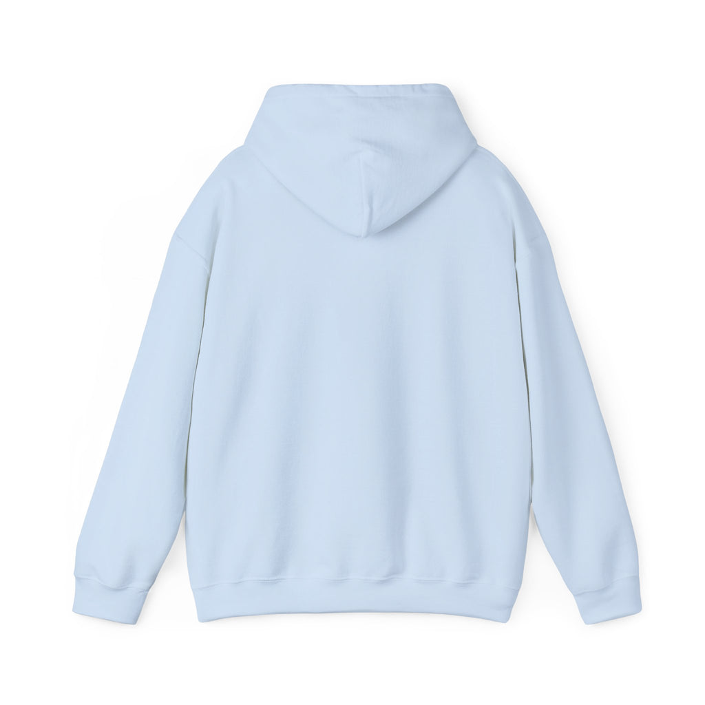 The RCC Hoodie