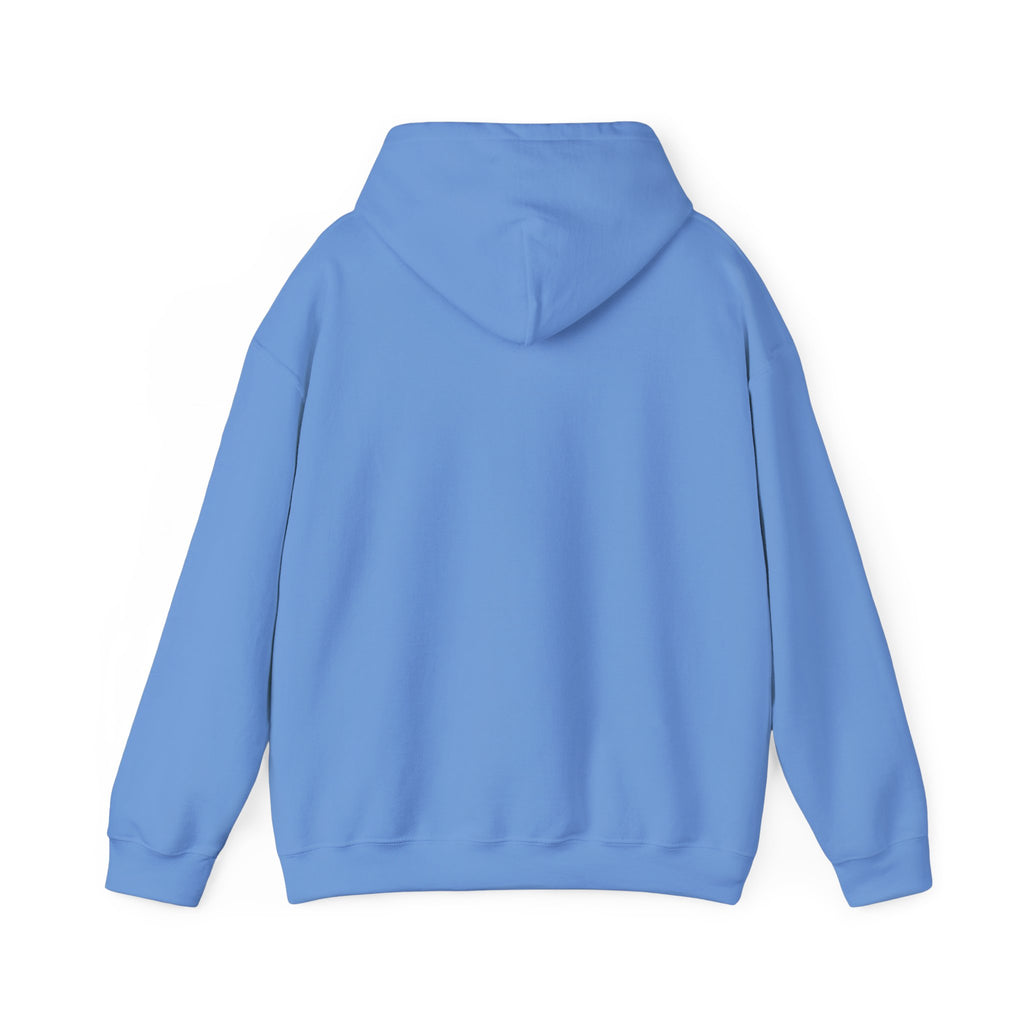 The RCC Hoodie