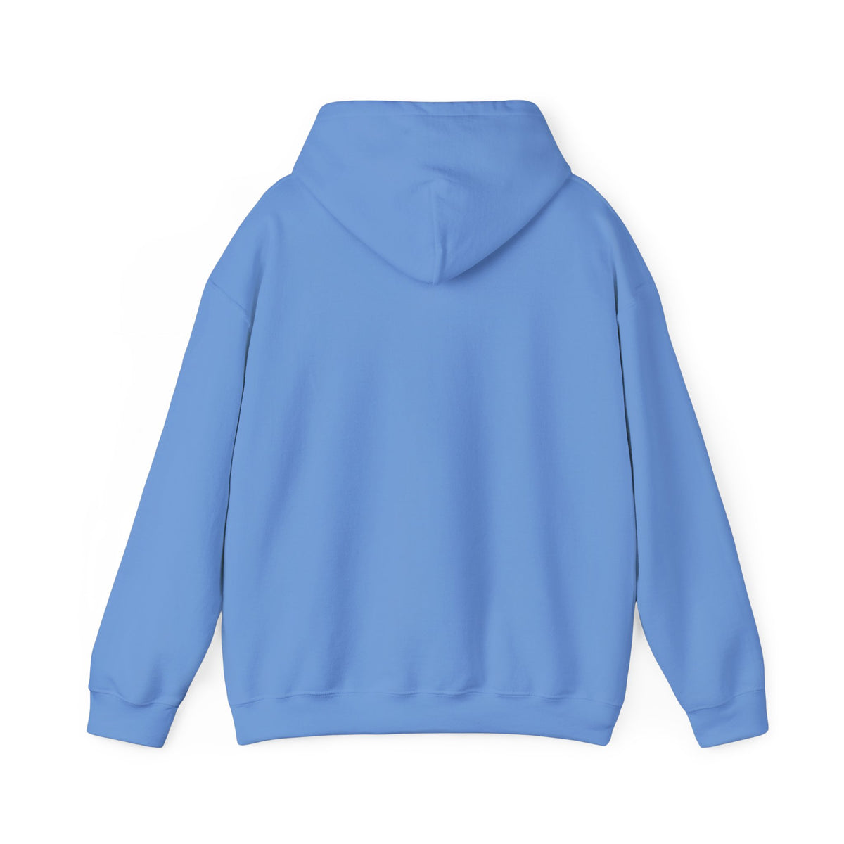 The RCC Hoodie
